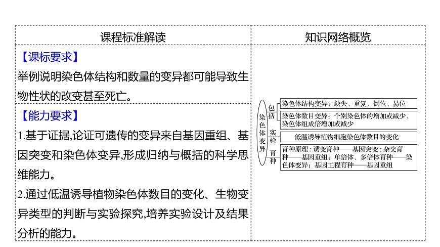 2025屆高考 一輪復(fù)習(xí) 人教版 染色體變異 課件(多選版)第3頁(yè)