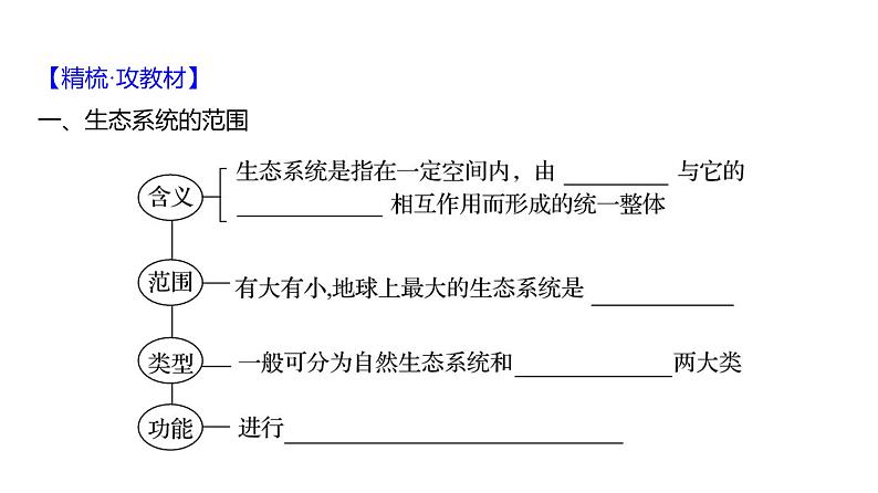 2025届高考 一轮复习 人教版 生态系统的结构与能量流动 课件(多选版)第4页