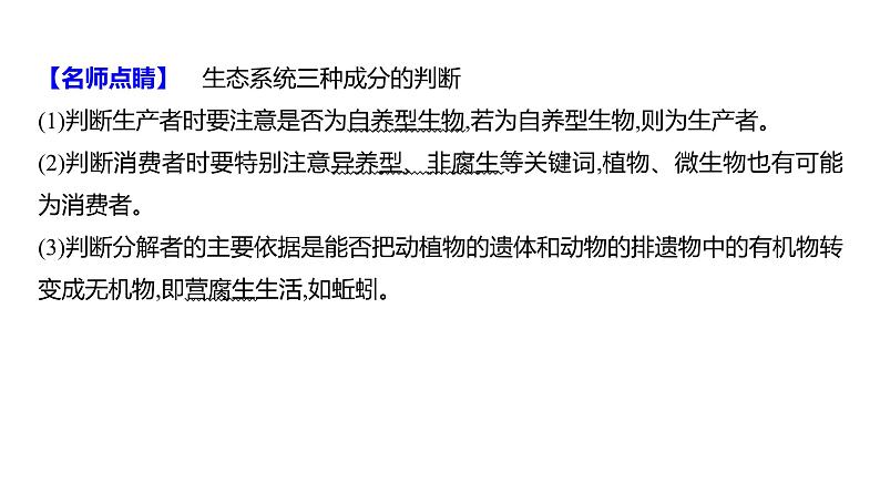 2025届高考 一轮复习 人教版 生态系统的结构与能量流动 课件(多选版)第6页