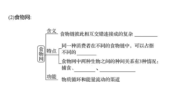 2025届高考 一轮复习 人教版 生态系统的结构与能量流动 课件(多选版)第8页