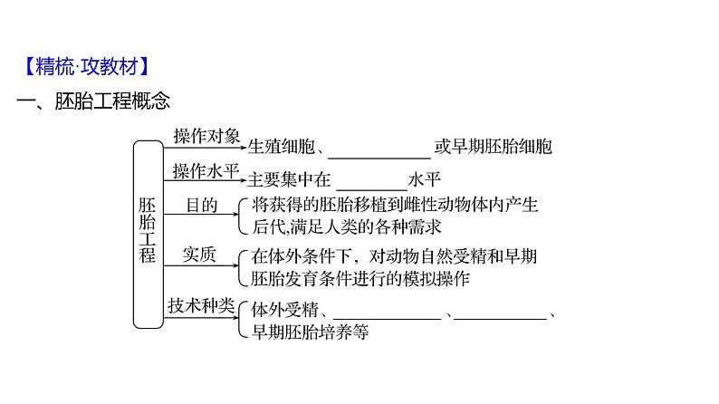 2025届高考 一轮复习 人教版 胚胎工程 课件(多选版) (1)第4页
