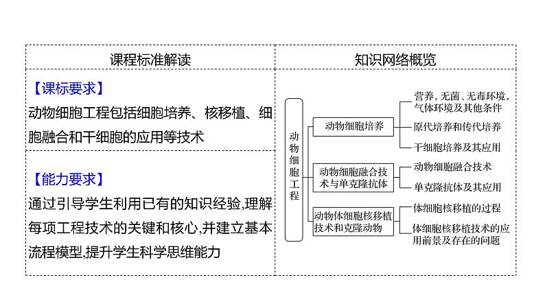 2025届高考 一轮复习 人教版 胚胎工程 课件(多选版) (2)第2页
