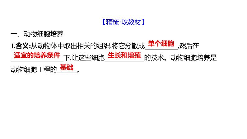 2025届高考 一轮复习 人教版 胚胎工程 课件(多选版) (2)第4页