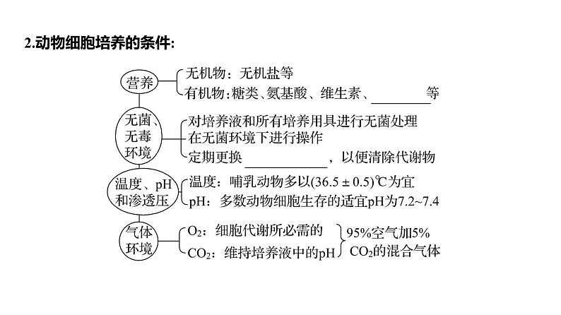 2025届高考 一轮复习 人教版 胚胎工程 课件(多选版) (2)第5页
