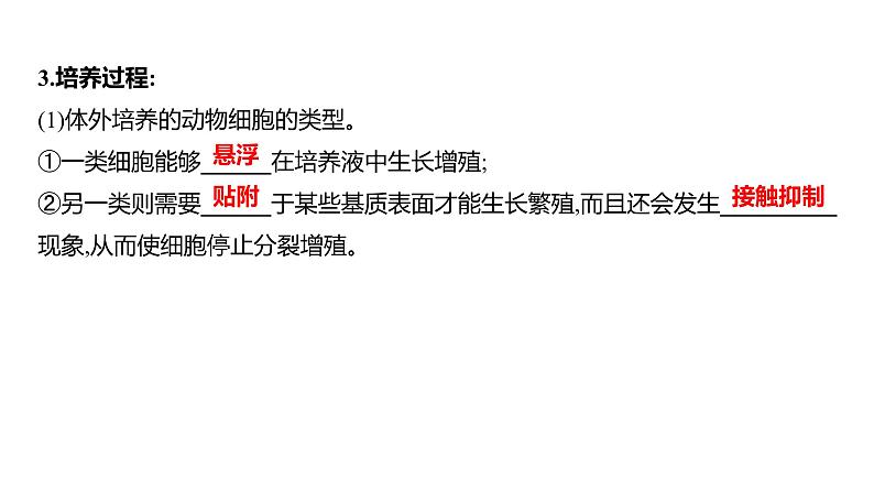 2025届高考 一轮复习 人教版 胚胎工程 课件(多选版) (2)第6页