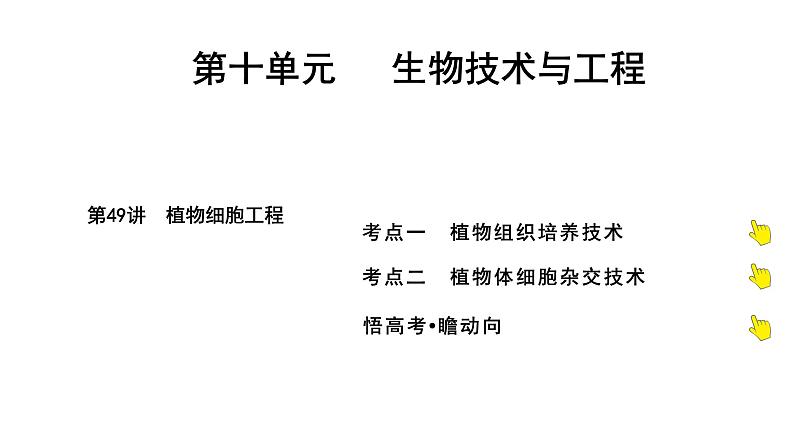 2025届高考 一轮复习 人教版 植物细胞工程 课件(多选版) (1)第1页