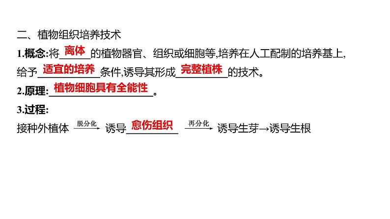 2025届高考 一轮复习 人教版 植物细胞工程 课件(多选版) (1)第6页
