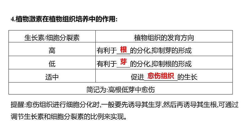 2025届高考 一轮复习 人教版 植物细胞工程 课件(多选版) (1)第7页