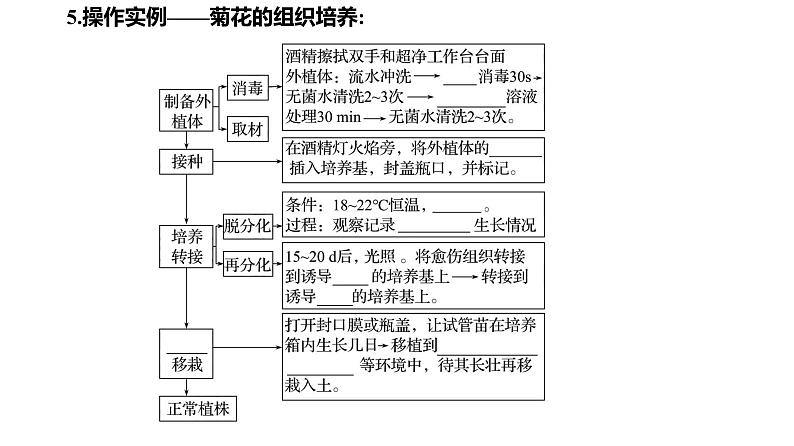 2025届高考 一轮复习 人教版 植物细胞工程 课件(多选版) (1)第8页