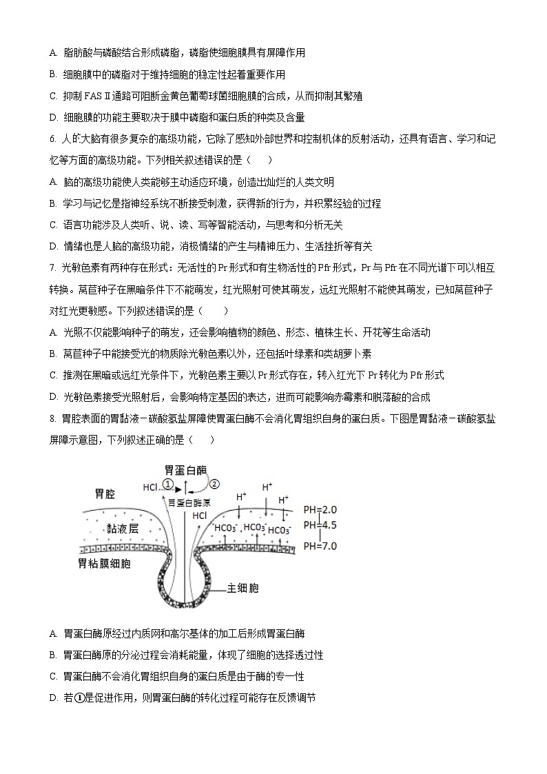 湖北省荆州市沙市中学2024届高三下学期模考生物试题 Word版无答案第2页