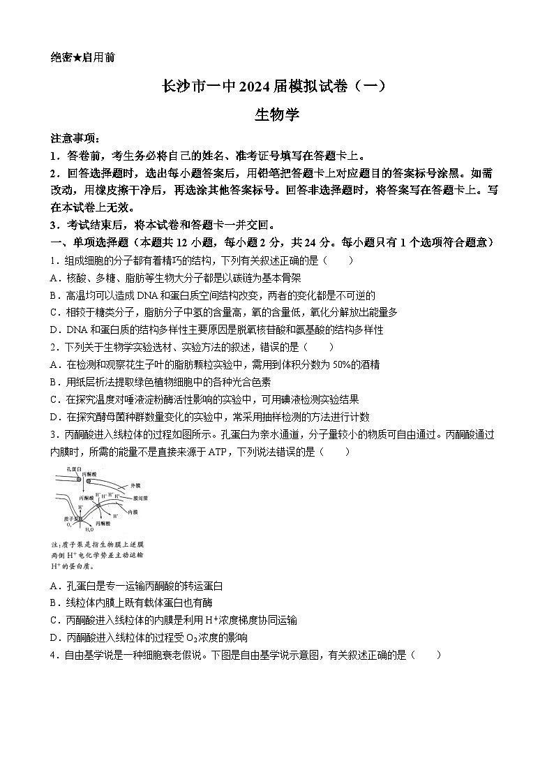 湖南省长沙市第一中学2024届高三下学期模拟卷(一)生物试卷(Word版附解析)第1页