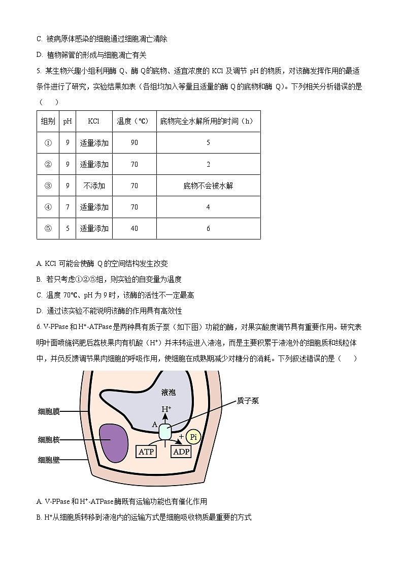 浙江省三校联盟(长兴、余杭、缙云)2024届高三下学期4月联考生物试卷(Word版附解析)02