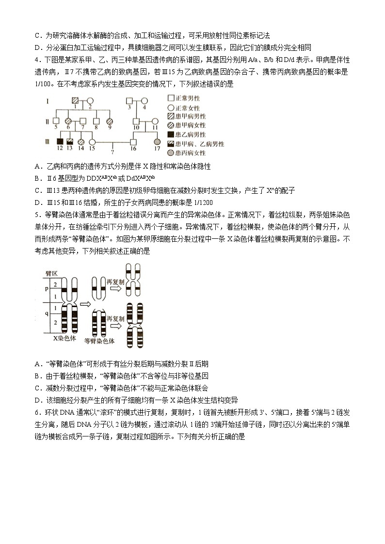湖南省娄底市2023-2024学年高三下学期5月月考生物试卷(Word版附解析)第2页