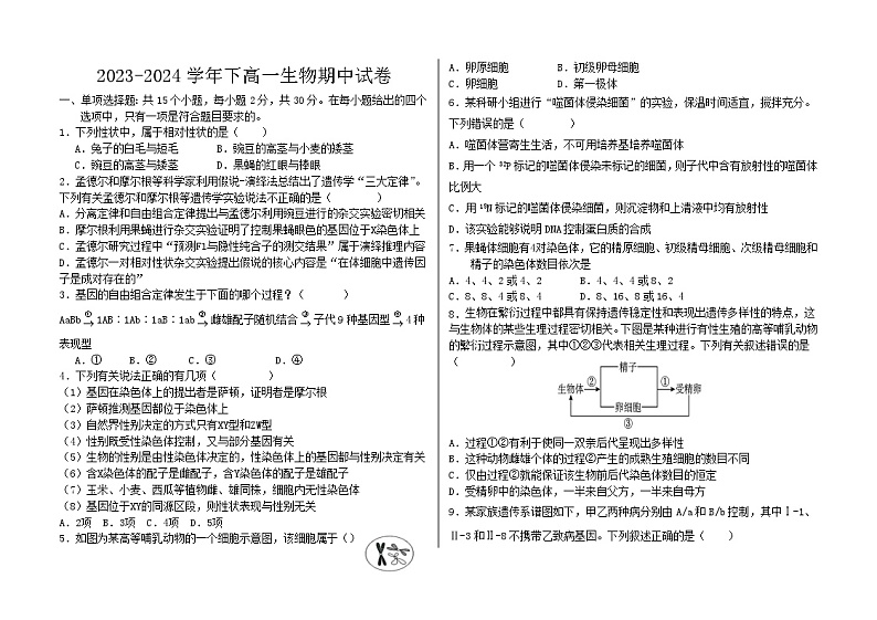 黑龙江省肇东市第四中学2023-2024学年高一下学期期中生物试题01