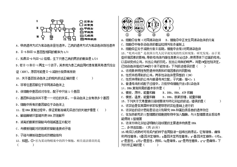 黑龙江省肇东市第四中学2023-2024学年高一下学期期中生物试题02