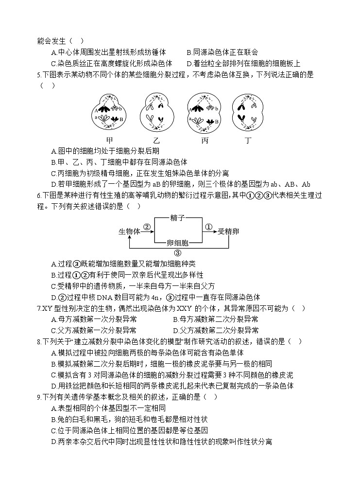 2024遂宁射洪中学高一下学期期中考试生物含答案02