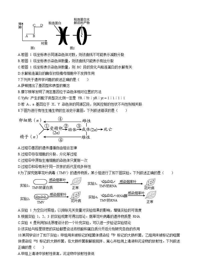 2024济宁一中高一下学期5月期中考试生物含答案02