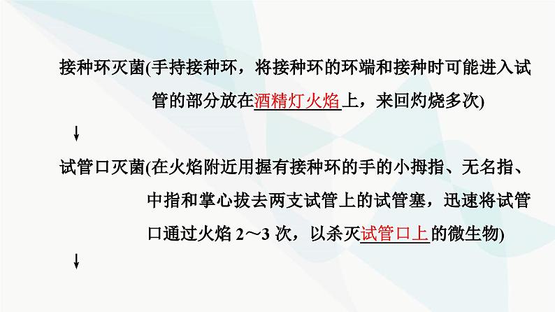 苏教版高中生物选择性必修3第1章第2节第2课时微生物的接种、分离、纯化与计数课件07