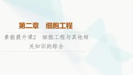 苏教版高中生物选择性必修3第2章素能提升课2细胞工程与其他相关知识的综合课件