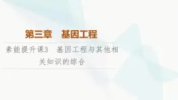 蘇教版高中生物選擇性必修3第3章素能提升課3基因工程與其他相關(guān)知識(shí)的綜合課件