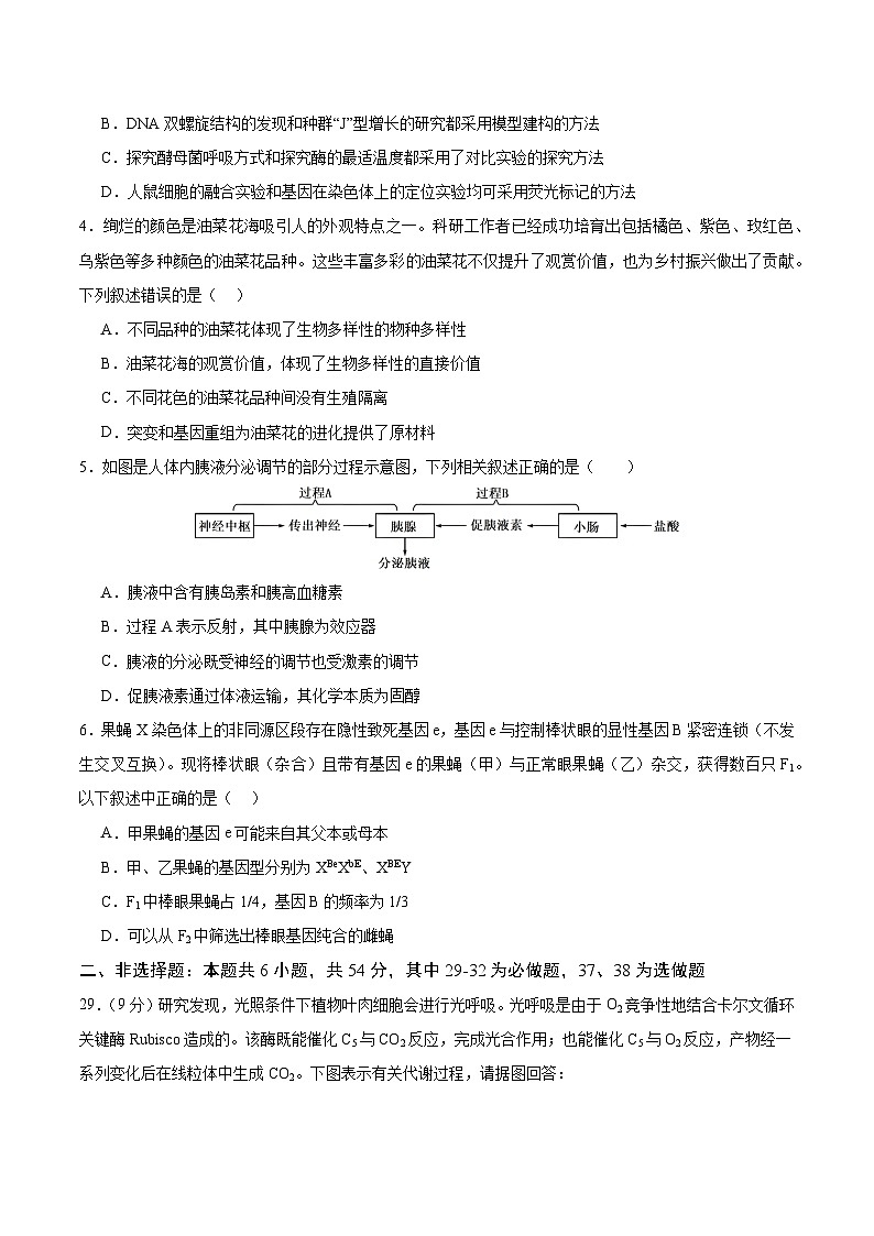 2024年高考生物考前冲刺卷01——全国卷老教材适用(原卷版)第2页