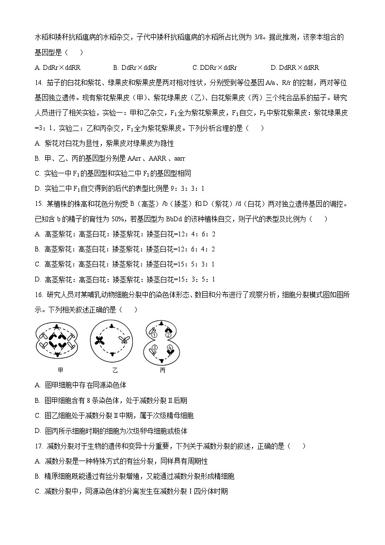 新疆部分名校2023-2024学年高一下学期期中联合考试生物试题(原卷版)第3页