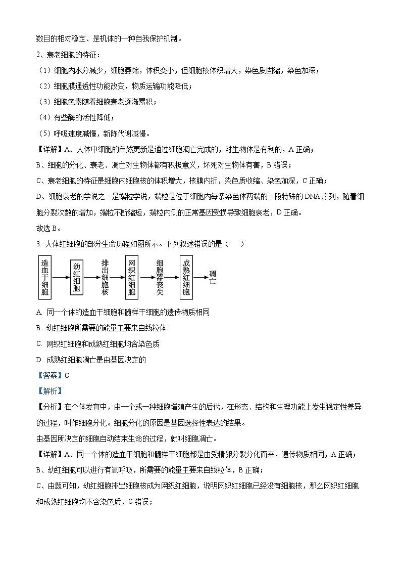 新疆部分名校2023-2024学年高一下学期期中联合考试生物试题(解析版)第2页