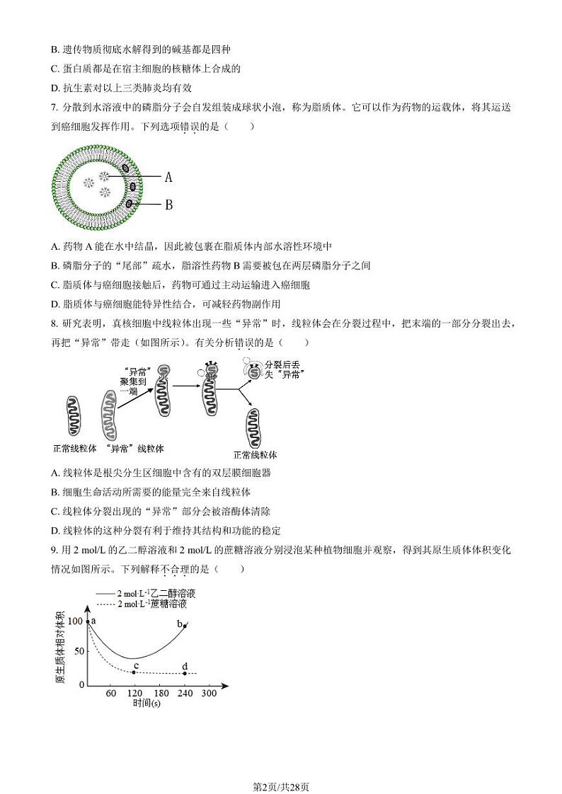 2023北京丰台高一(上)期中生物(A卷)试卷及答案02