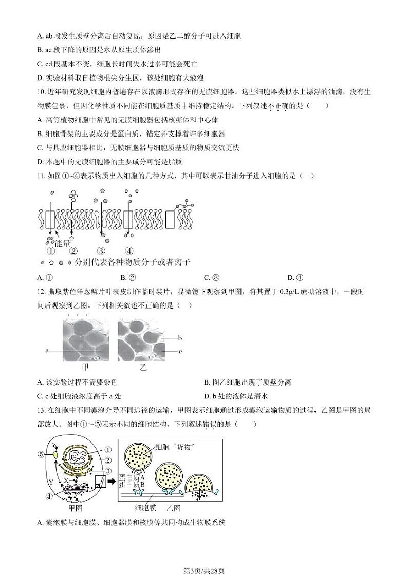 2023北京丰台高一(上)期中生物(A卷)试卷及答案03