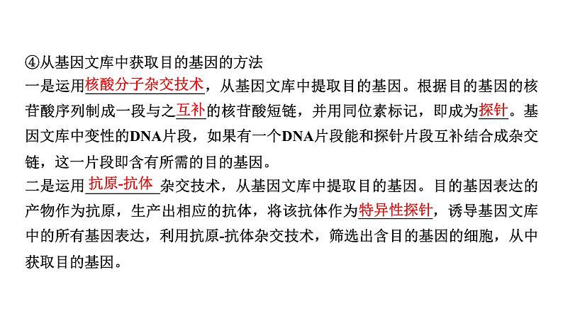 2025届高考 一轮复习 浙科版 基因工程的步骤、应用及其安全性问题 课件(浙江版)第5页