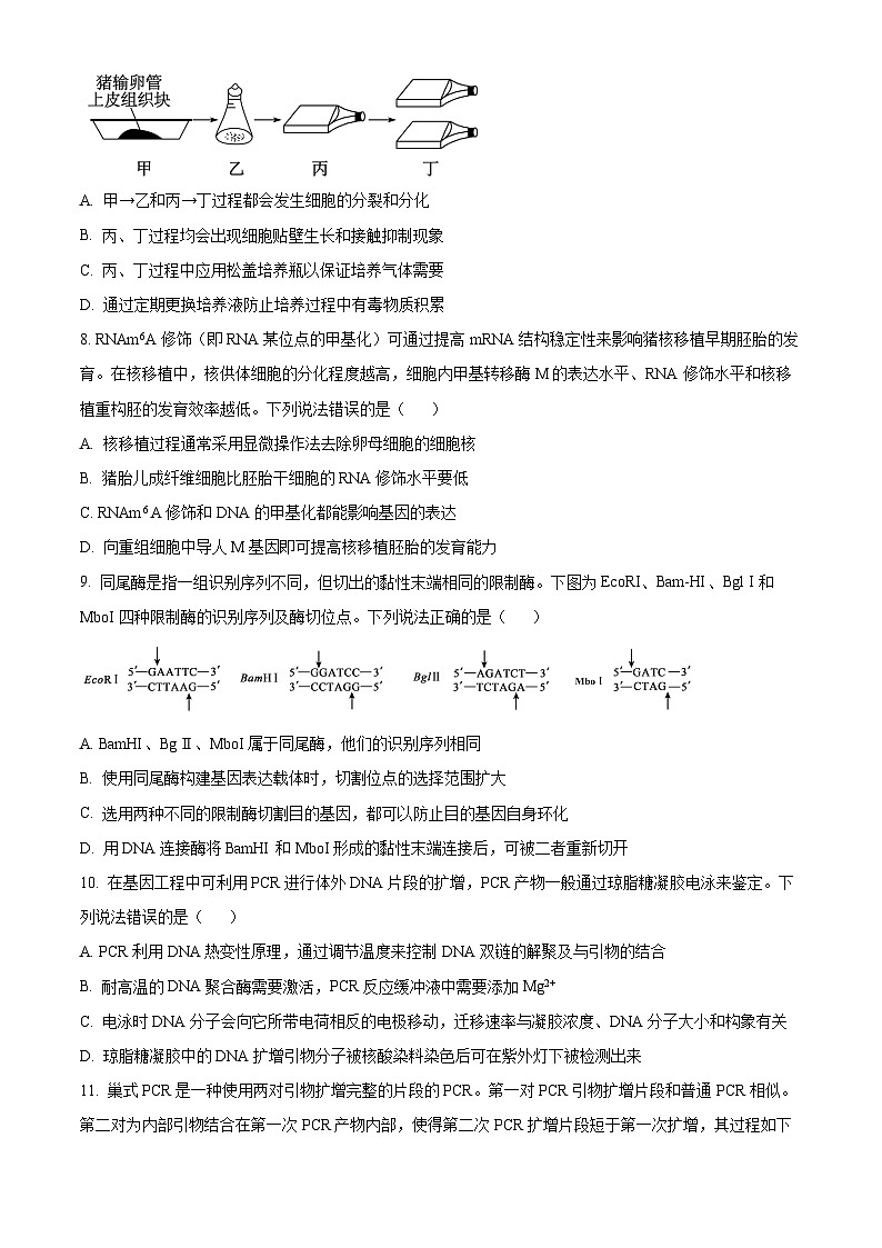 山东省烟台市2023-2024学年高二下学期4月期中生物试题(原卷版+解析版)03