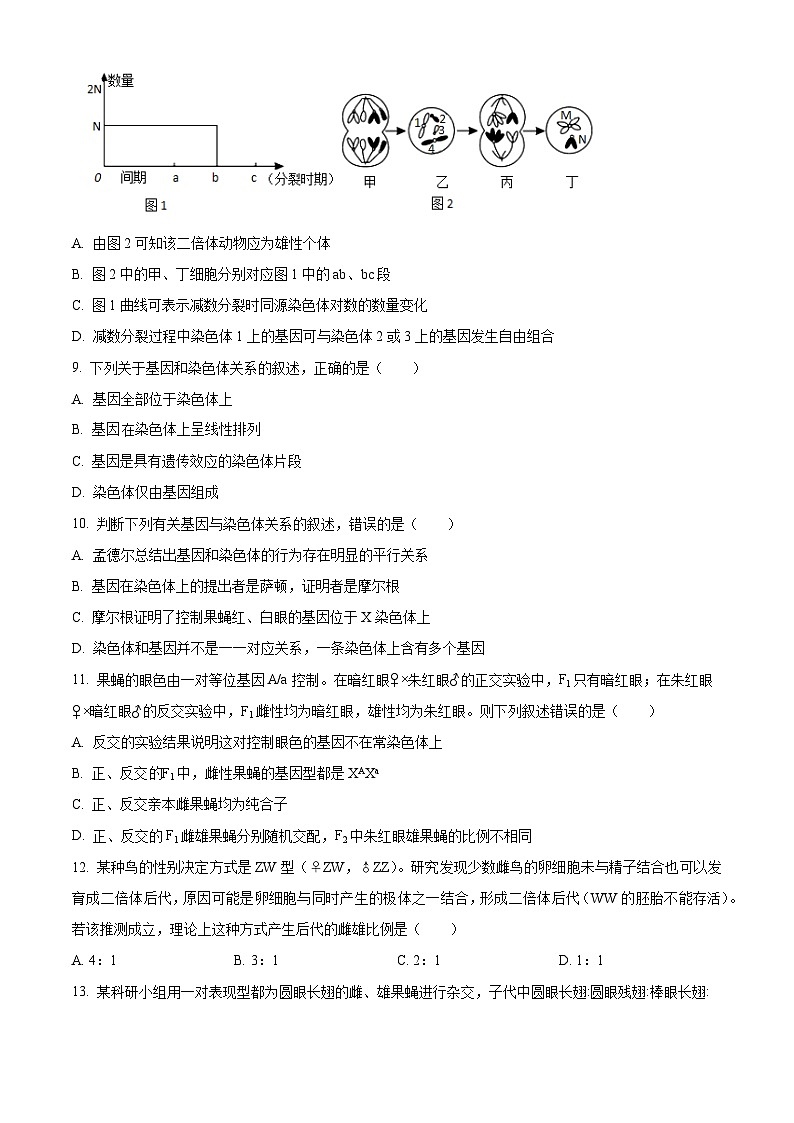 甘肃省武威市天祝一中、民勤一中2023-2024学年高一下学期5月期中联考生物试题(原卷版)第3页