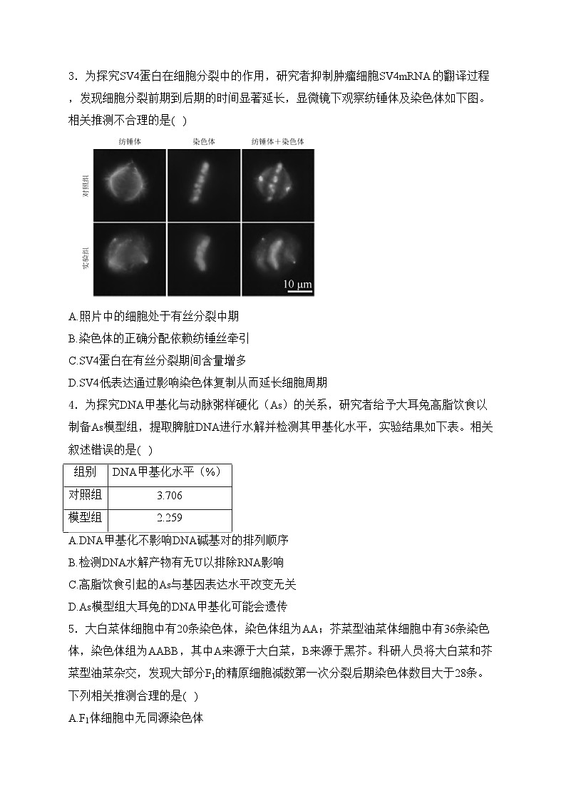 北京市昌平区2024届高三下学期二模考试生物试卷(含答案)02