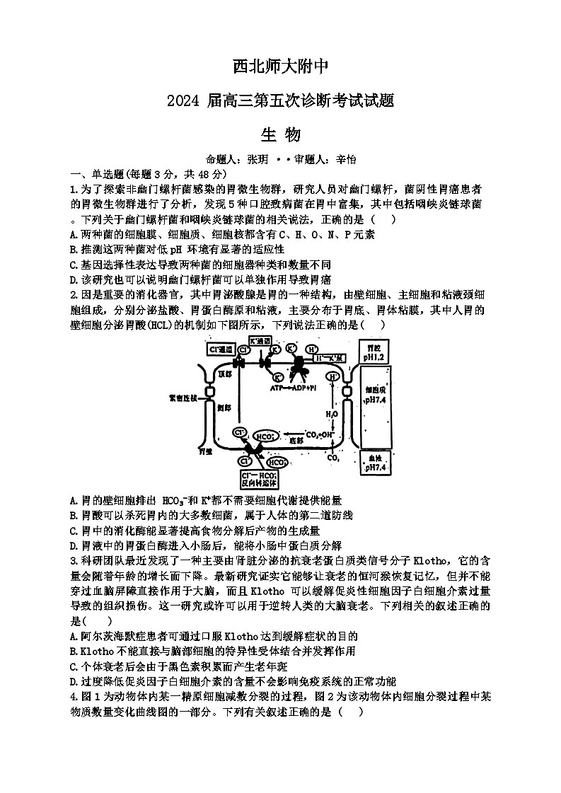 甘肃省西北师范大学附属中学2023-2024学年高三第五次诊断(三模)生物试题第1页