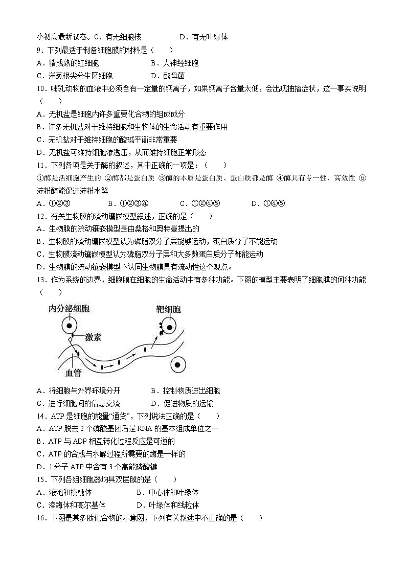 22,甘肃省会宁县第四中学2021-2022学年高一上学期期末生物试题(无答案)第2页
