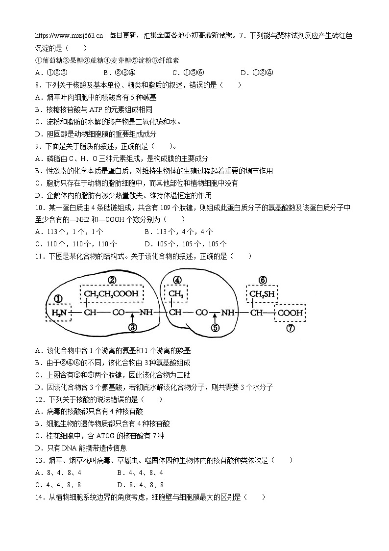 25,云南省腾冲市第五中学2021-2022学年高一上学期期末考试生物试题(无答案)第2页