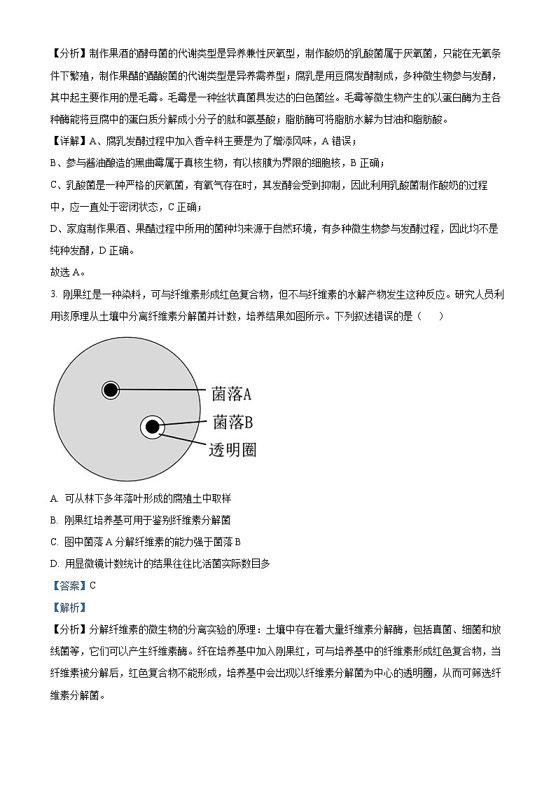31,北京市丰台区2023—2024学高二下学期期中考试生物试题第2页