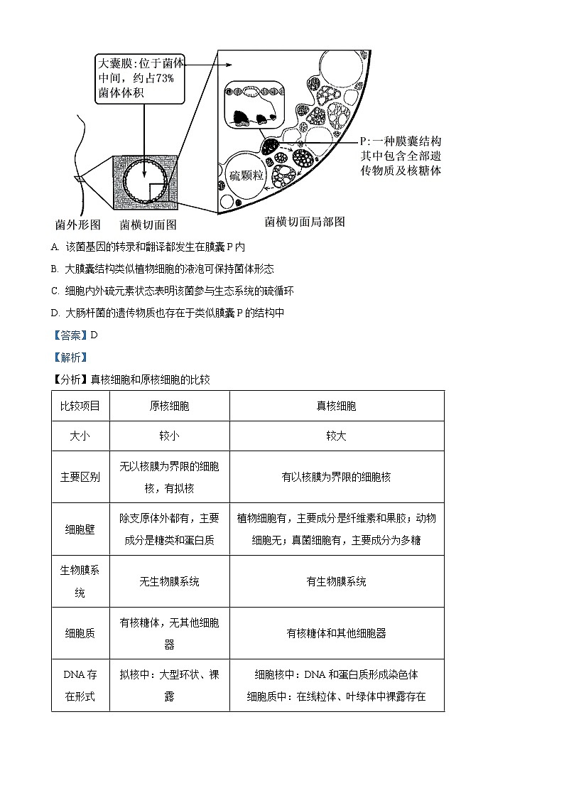 2024届安徽省六安市金安区第一中学高三下学期质量检测(一 )生物试题(原卷版+解析版)02