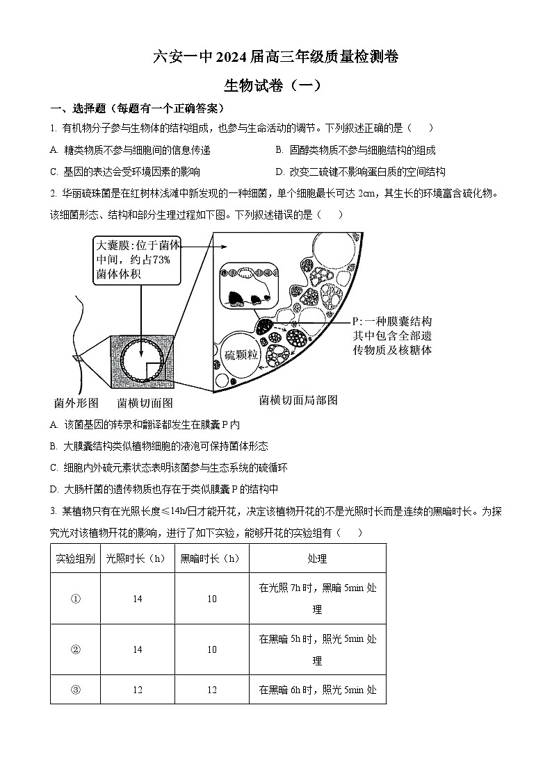 2024届安徽省六安市金安区第一中学高三下学期质量检测(一 )生物试题(原卷版+解析版)01