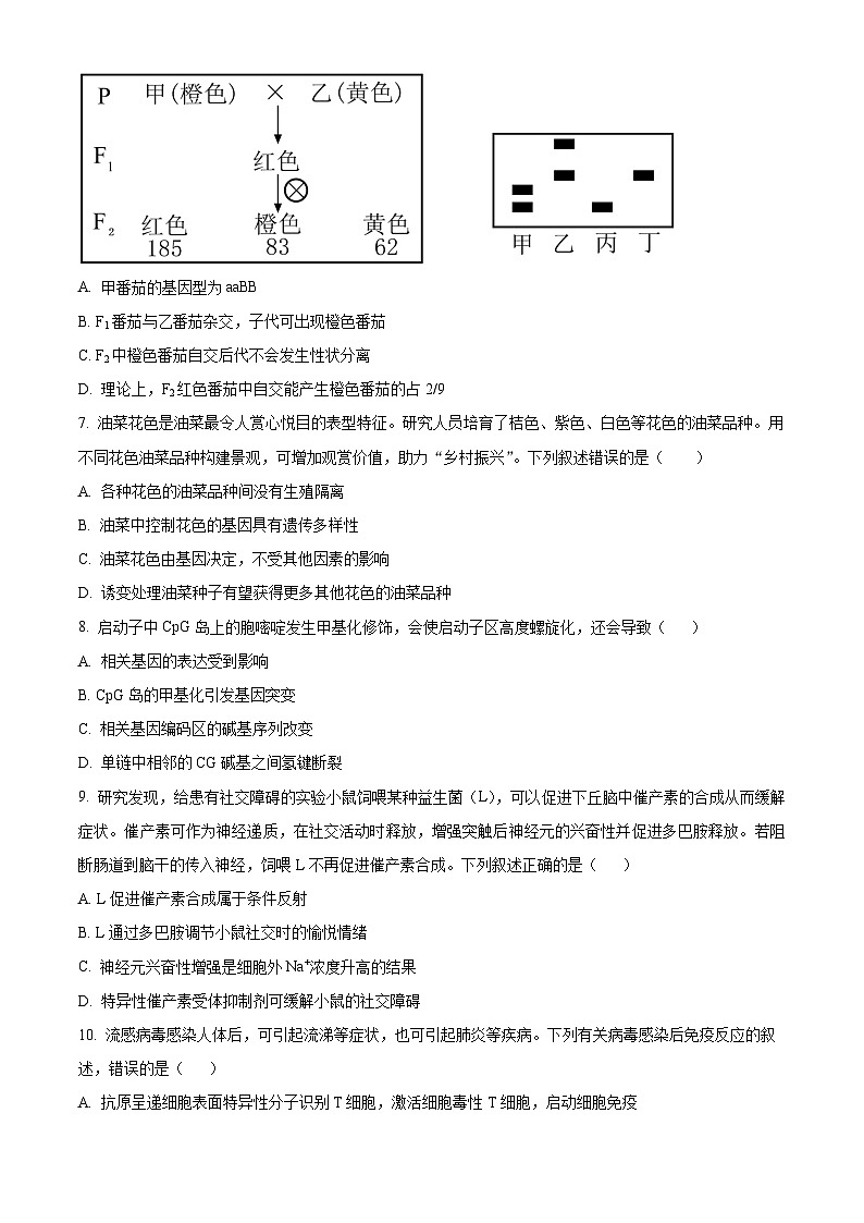 2024届安徽省六安市金安区第一中学高三下学期质量检测(一 )生物试题(原卷版+解析版)03