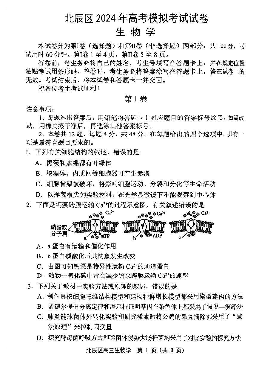2024屆天津市北辰區(qū)高三三模生物試題第1頁