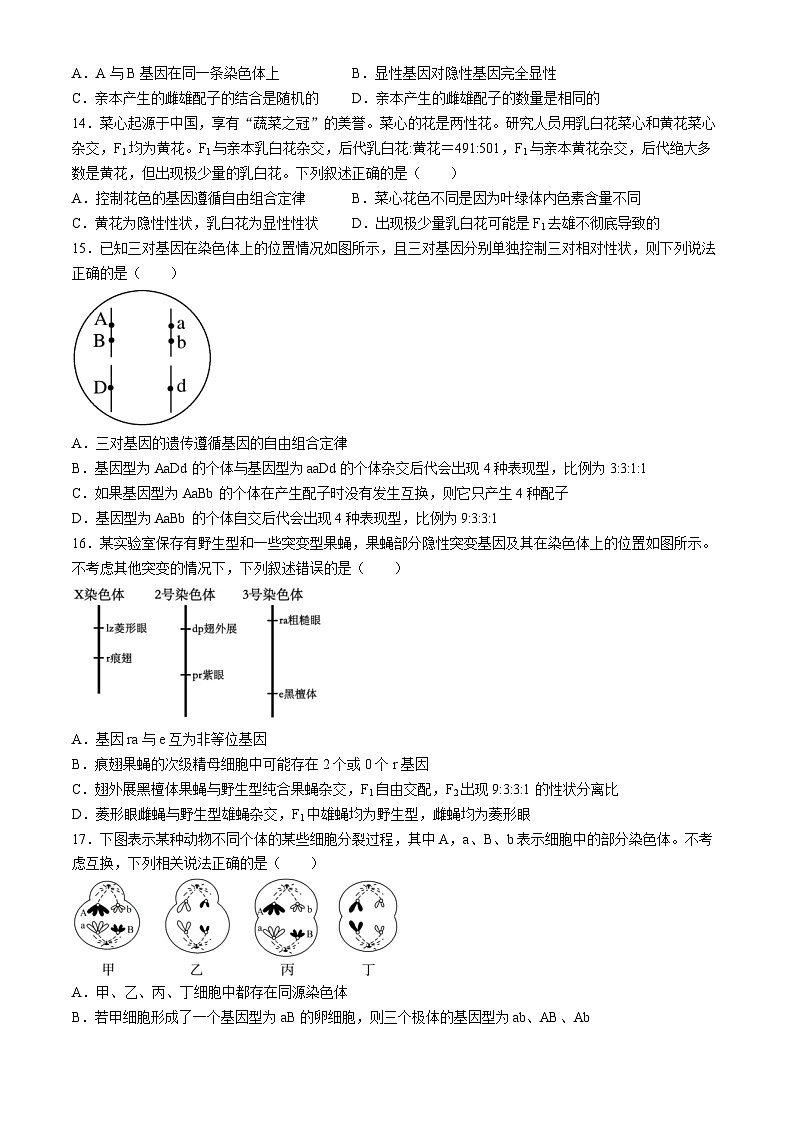 四川成华区某校2023-2024学年高一下学期期中考试生物试题03