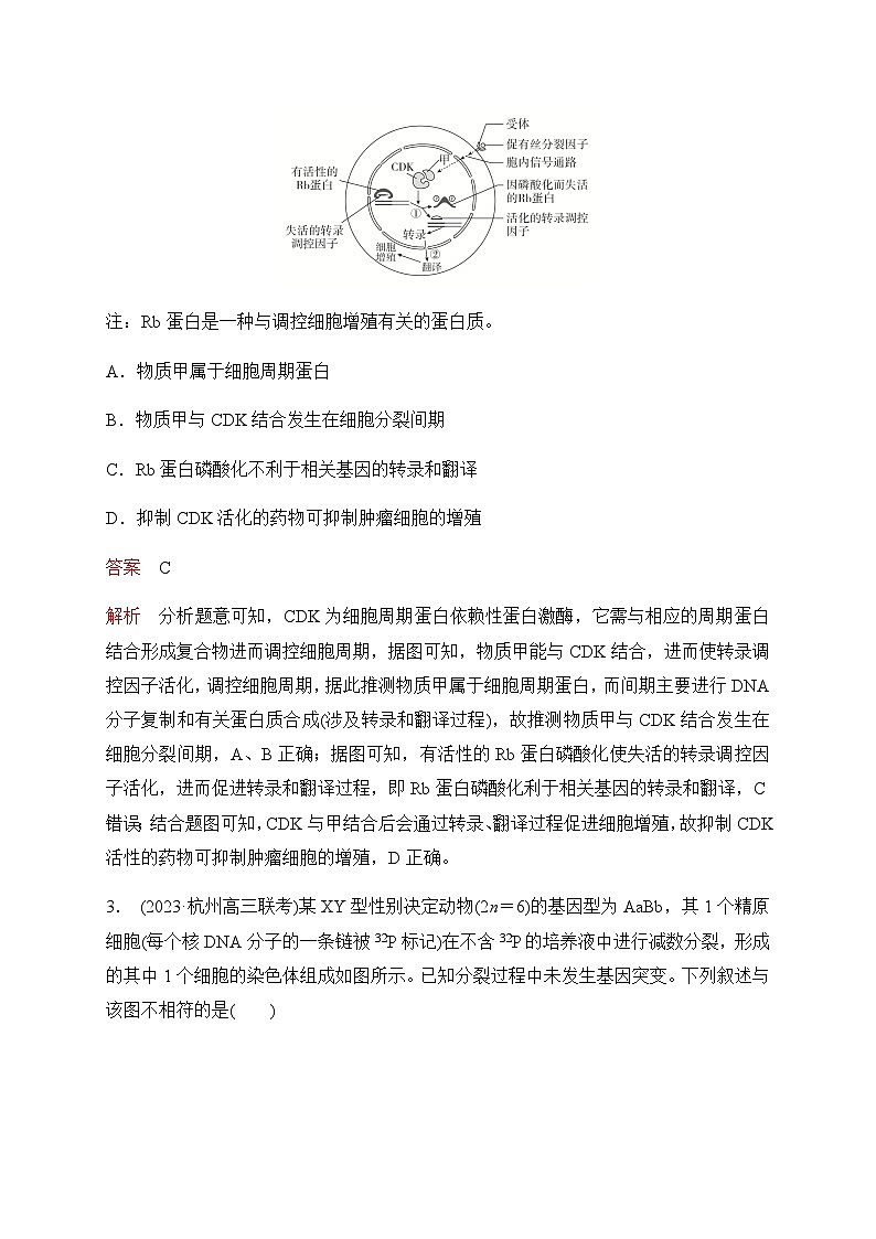 2024届高考生物考前冲刺专题训练3细胞的生命历程(含减数分裂)含答案第2页