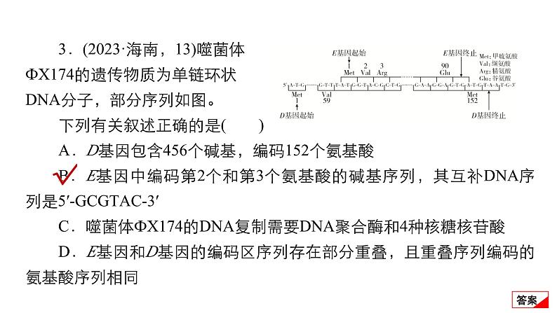 2024届高考生物考前冲刺专题训练5遗传的分子基础、生物的变异与进化课件第8页