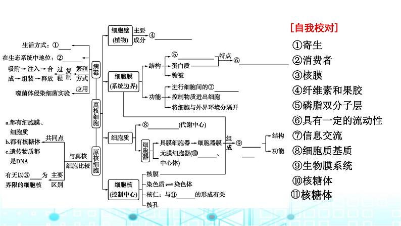 2024届高考生物考前冲刺素能提升1细胞微专题2细胞的结构和功能课件第4页