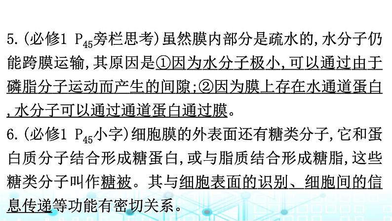 2024届高考生物考前冲刺素能提升1细胞微专题2细胞的结构和功能课件第7页