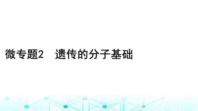 2024届高考生物考前冲刺素能提升3遗传微专题2遗传的分子基础课件01