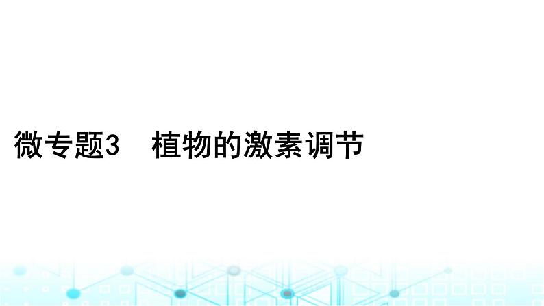 2024届高考生物考前冲刺素能提升4调节微专题3植物的激素调节课件第1页