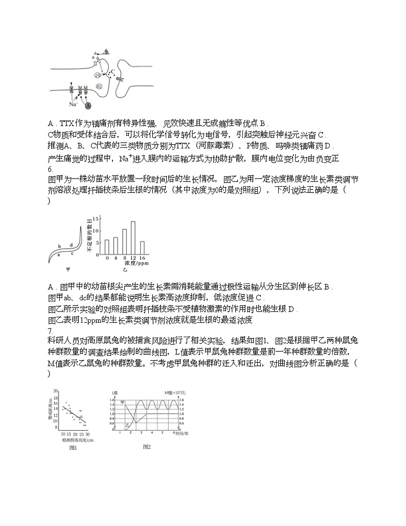 广西壮族自治区2024年高考生物考前押题密卷第3页