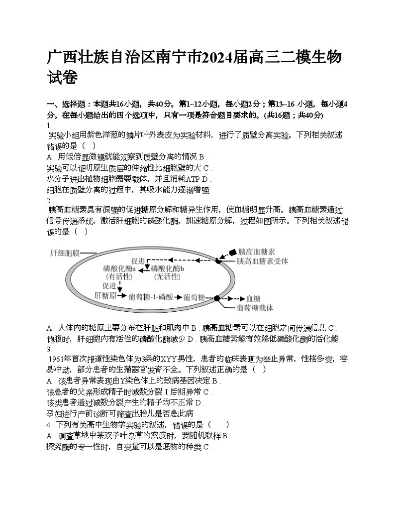 广西壮族自治区南宁市2024届高三二模生物试卷第1页